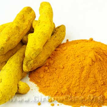 Turmeric Powder/হলুদ গুড়া- 100 Gm-22tk