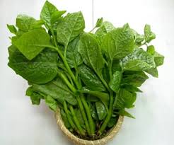 Pui Spinach - (1 Bundle)