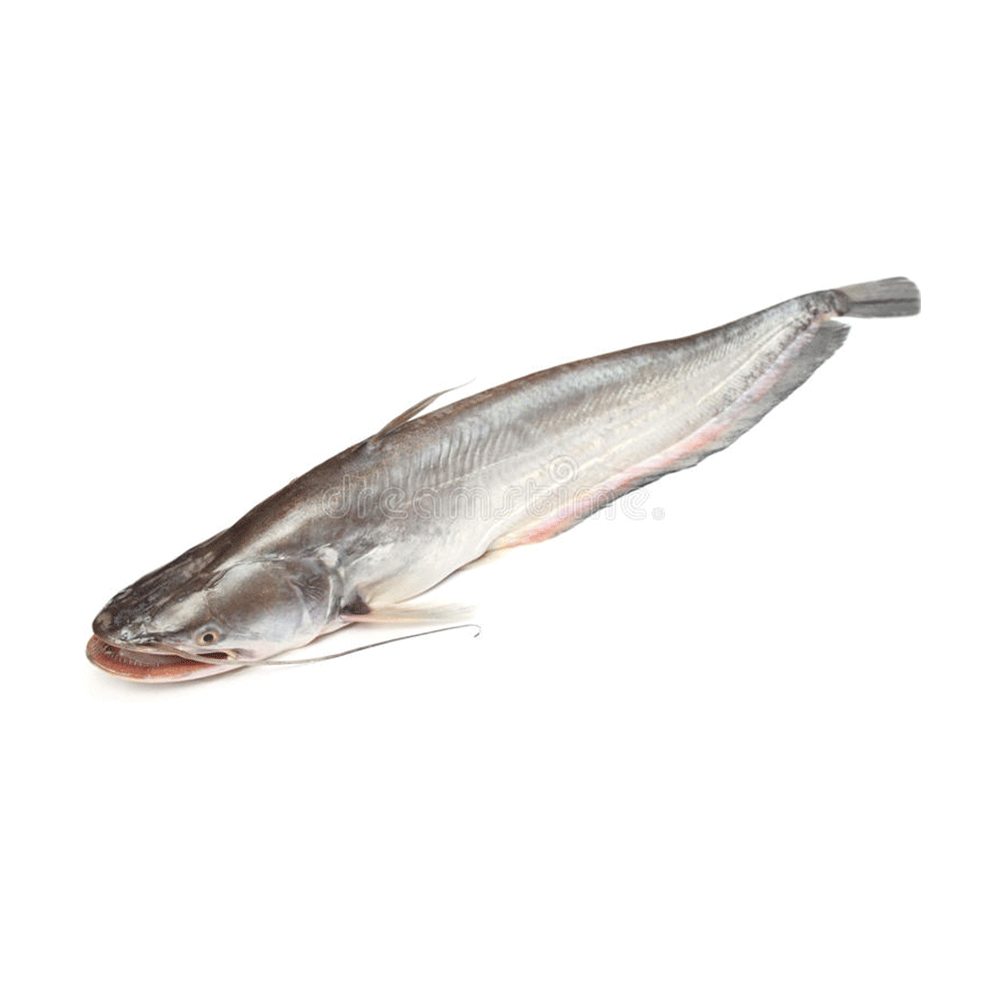 Boal Fish (Net Weight ± 50 gm) - 1 Kg