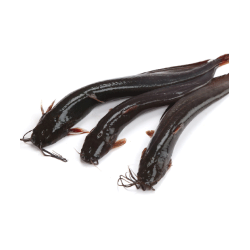 Deshi Shing Fish - 1 Kg (Net Weight ± 50 gm)