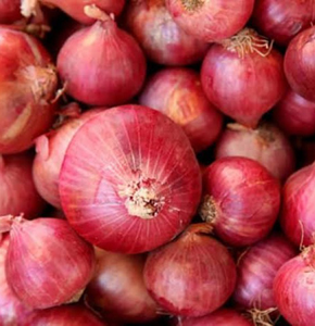 Onion/পেয়াজ (Indian Piyaj)- 1Kg