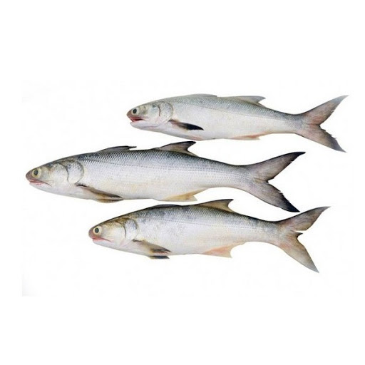 Salmon Fish (সেমন/তাইল্লা মাছ) - 1Kg