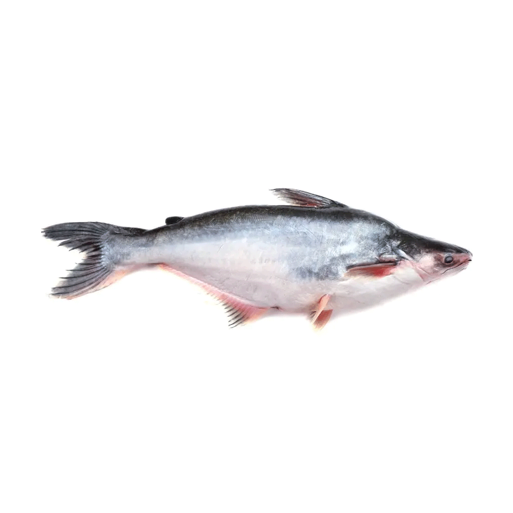 Pangas Fish (Medium) - 1kg