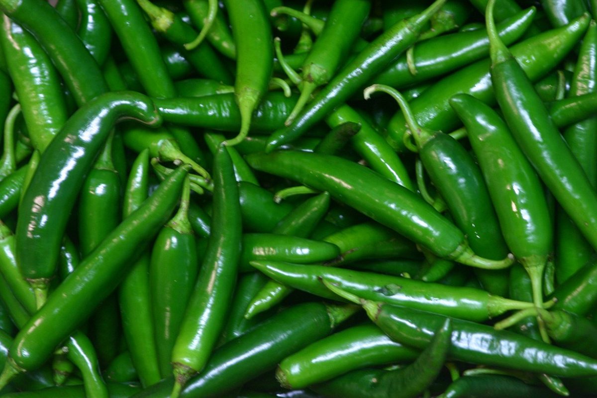 Green Chili-1Kg/কাচা মরিচ