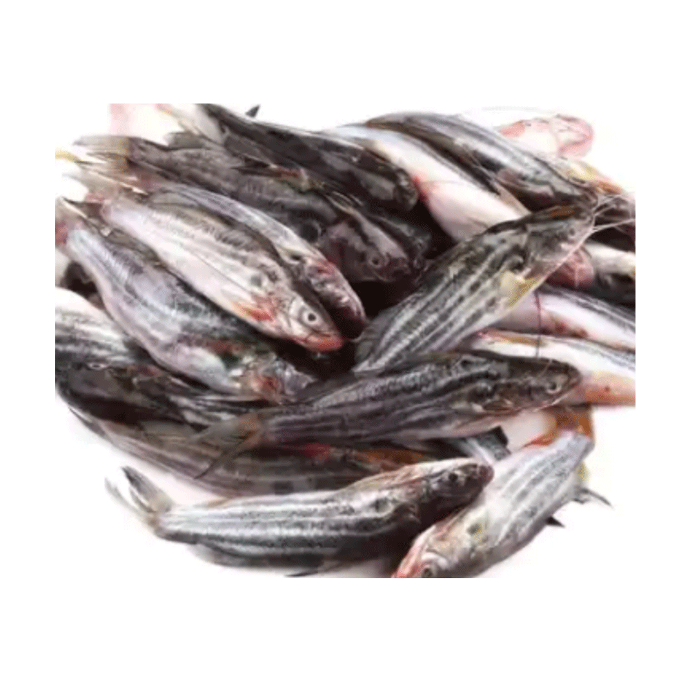 Tengra Fish (Deshi) - 1 Kg